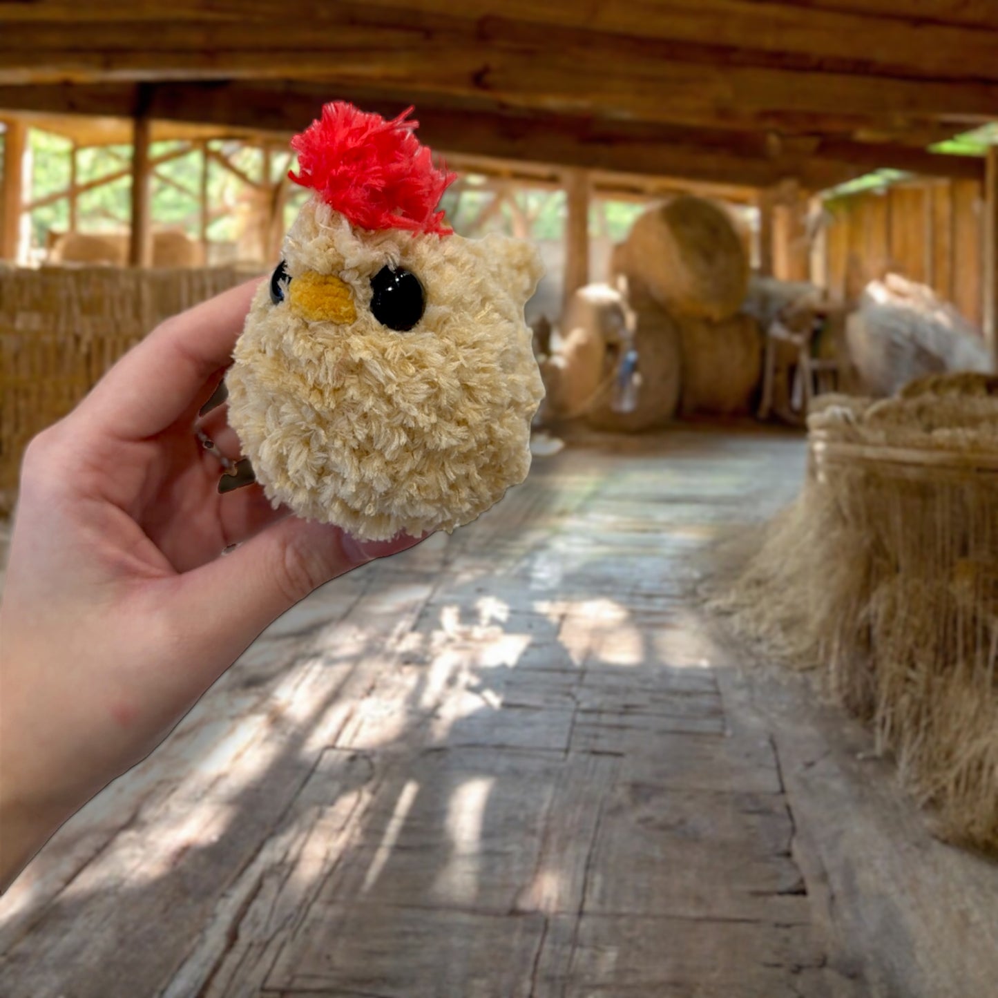 Fluffy small chicken