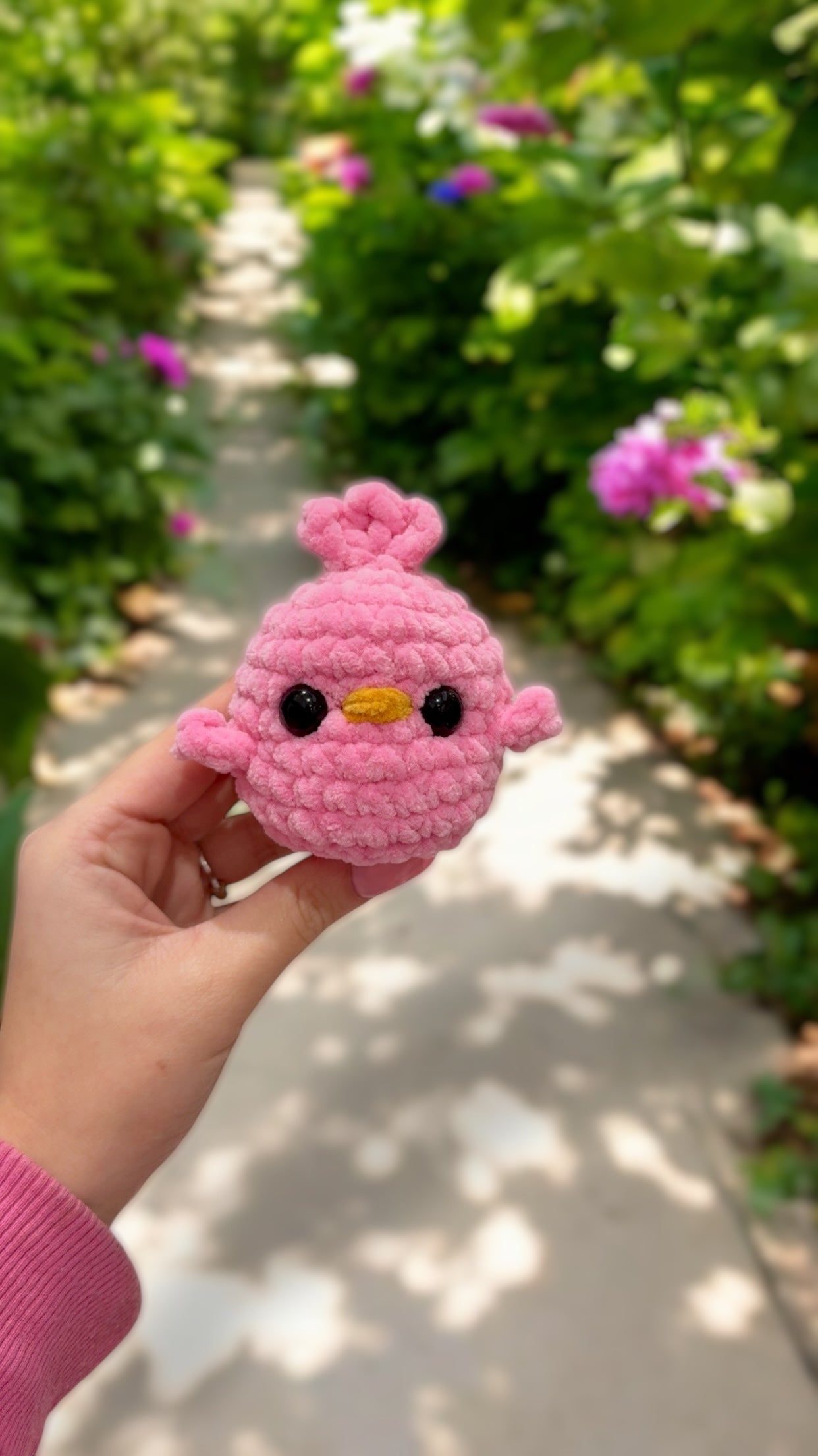 Pink turquoise chick