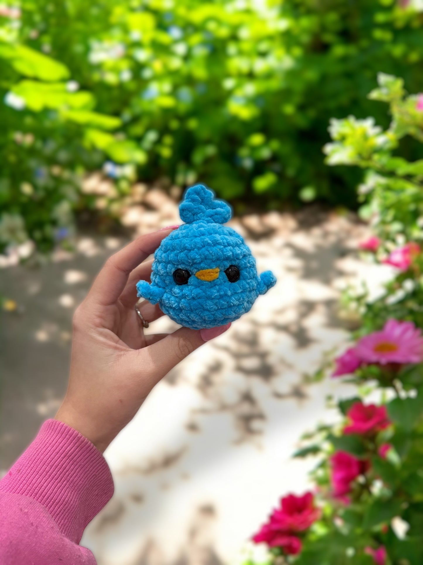 Blue turquoise chick