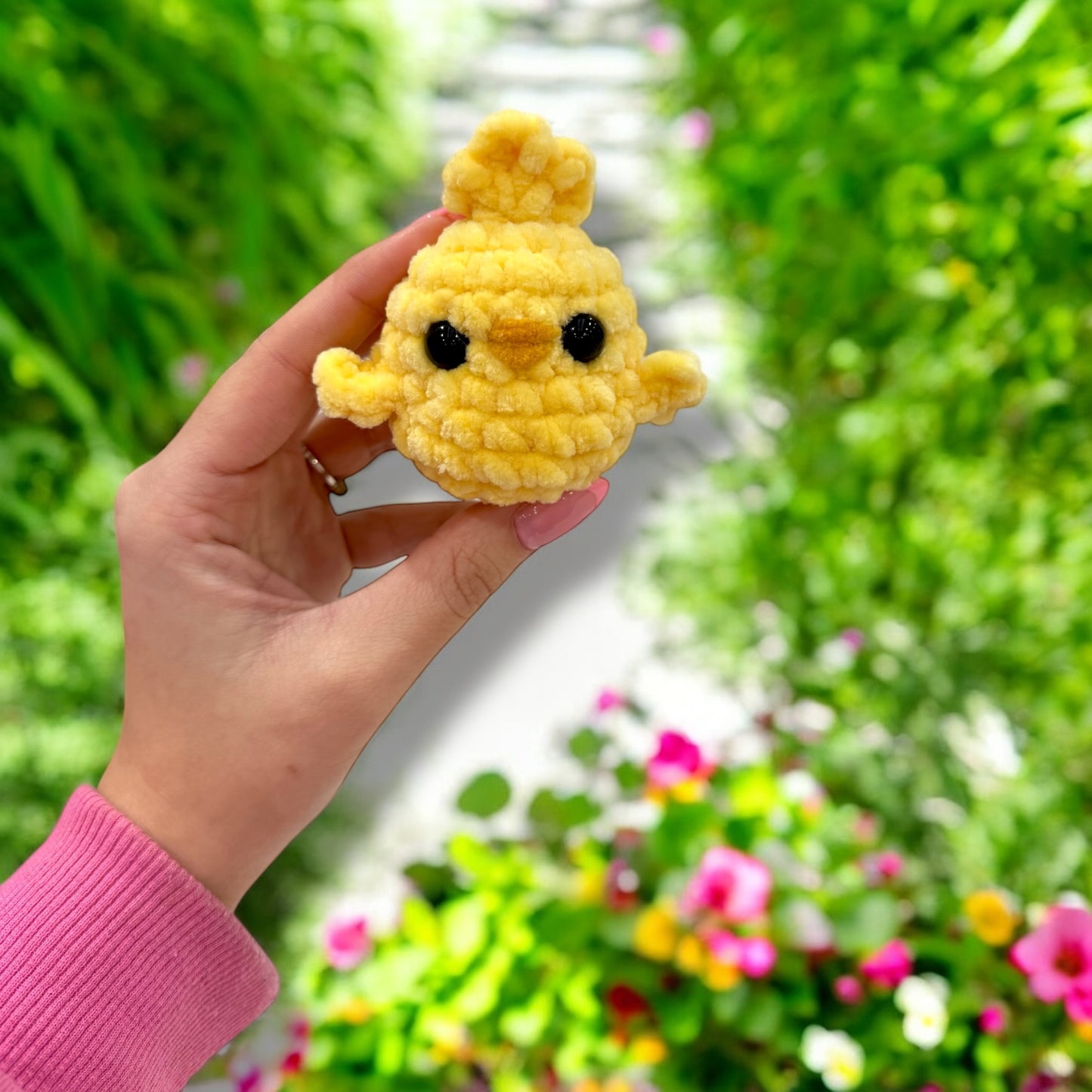 Small yellow chick