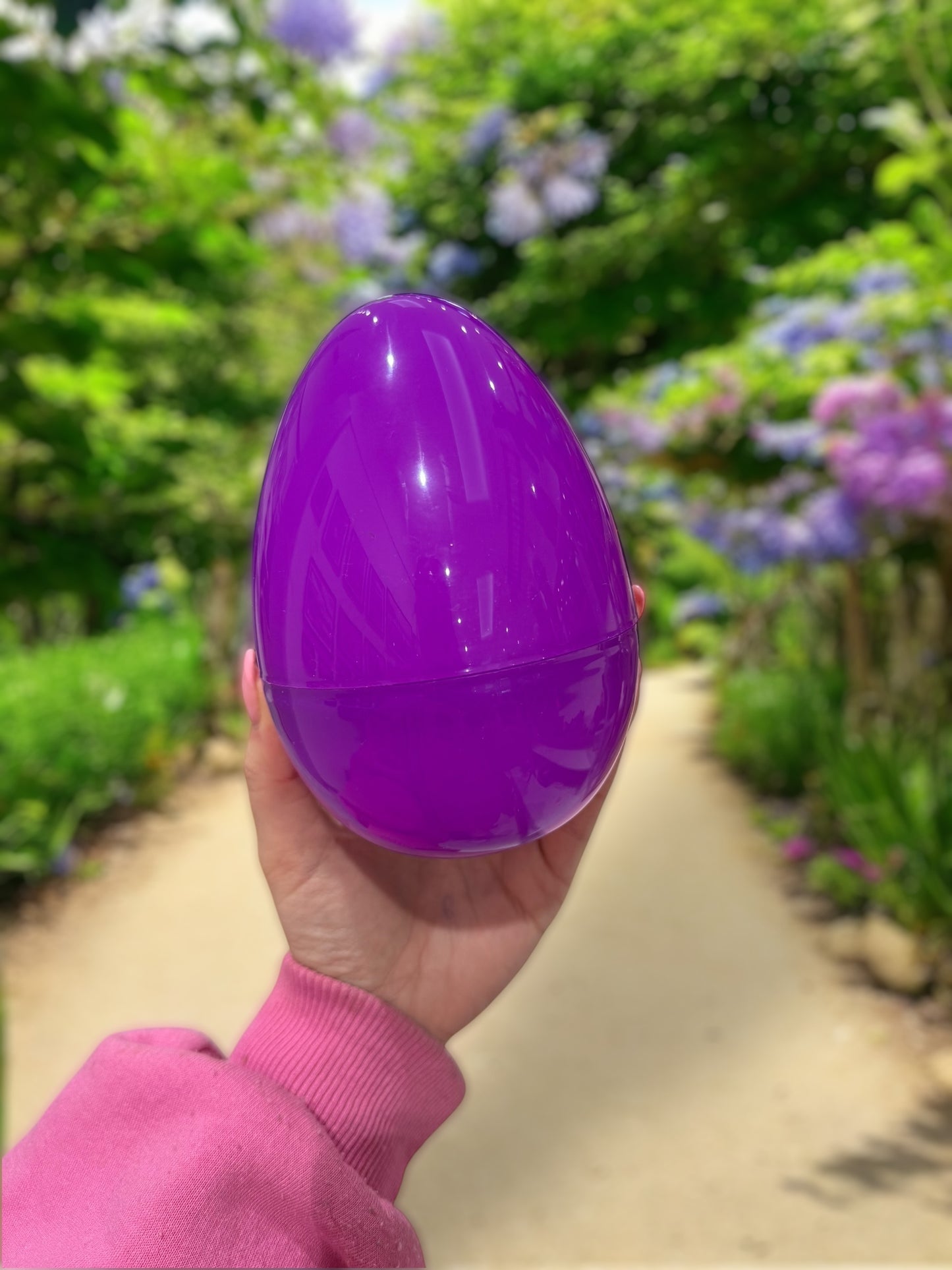 Purple plastic egg