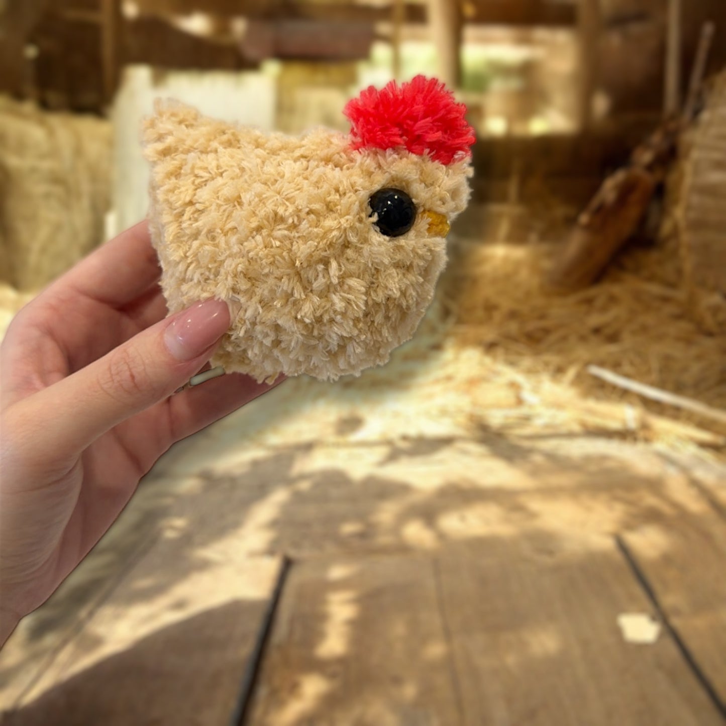 Fluffy small chicken