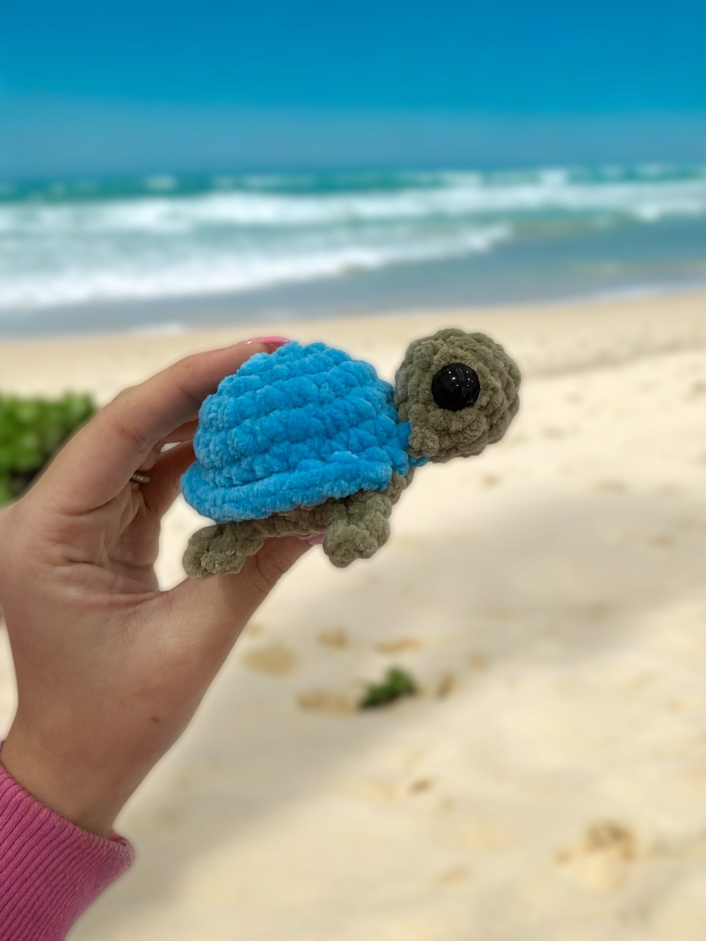Mini blue turtle
